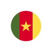 drapeau Cameroun